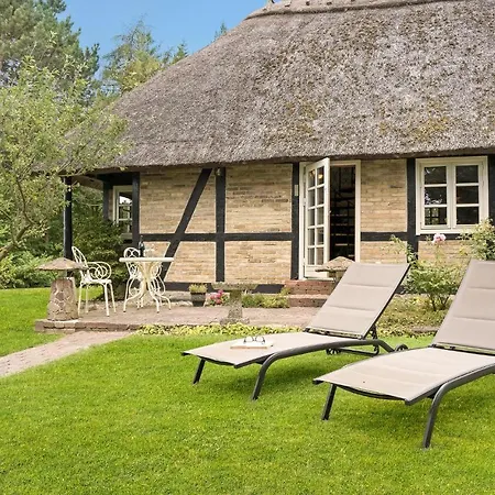 Amazing In With Wifi *